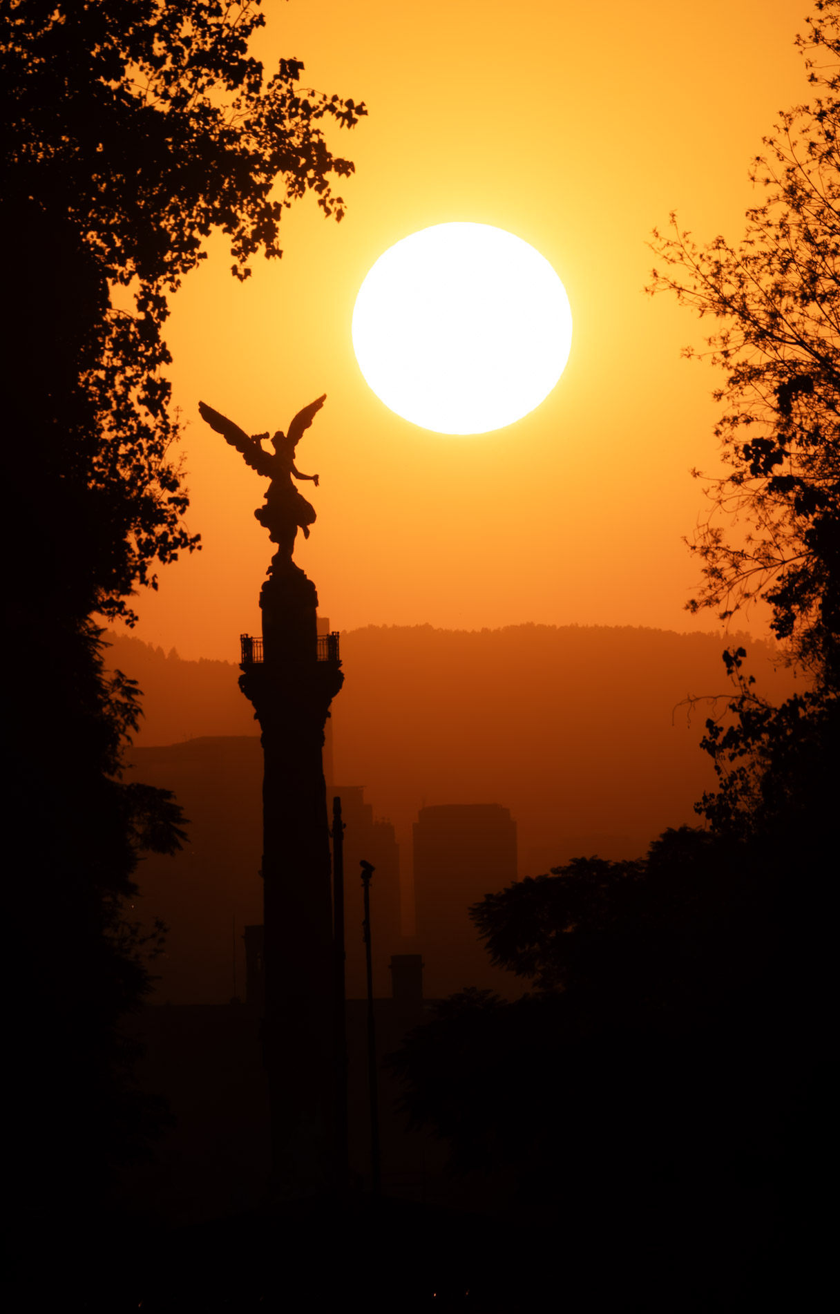 Angel-de-la-Independencia